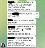 Чедрилло ржёт над пропажей кота Красного (август 2024)