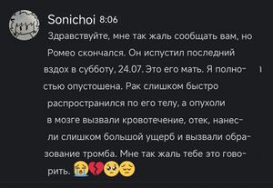 Romeo2.jpg