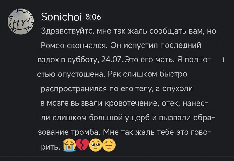 Файл:Romeo2.jpg