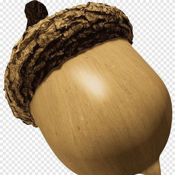 Файл:Ben Nuts.jpg