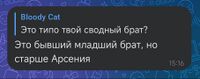 Автор скрина Bloody Cat